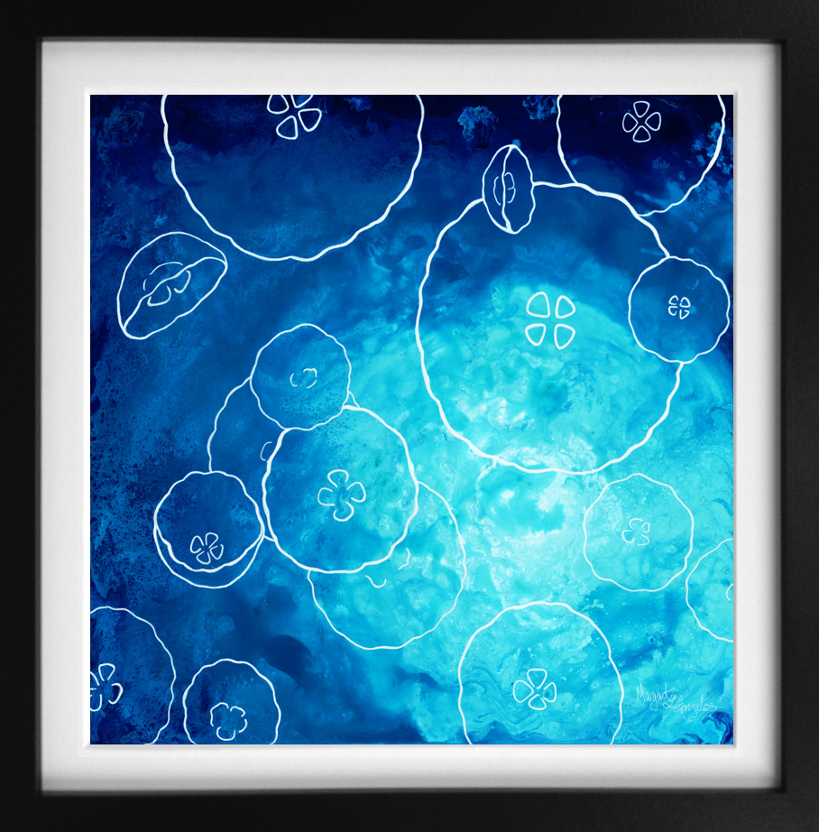 Aurelia Aurita, Moon Jellyfish