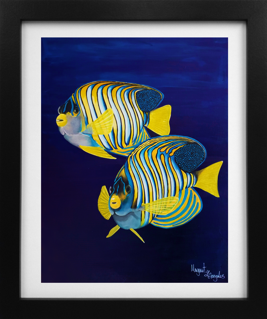 Royal Angelfish Lmt. Print