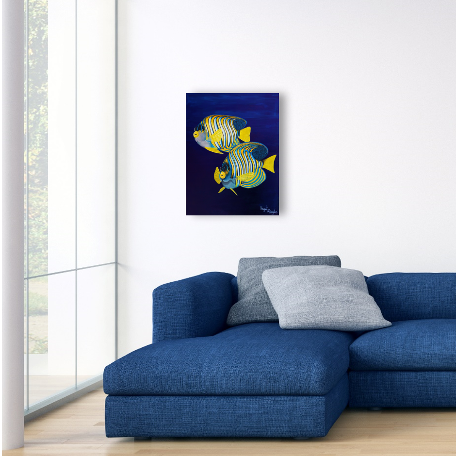 Royal Angelfish