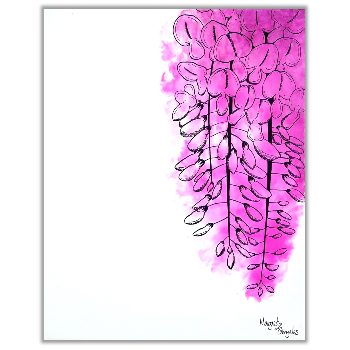 Wisteria
